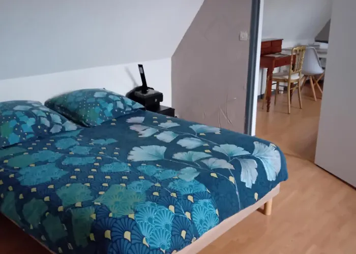 Chambre De La Vigne